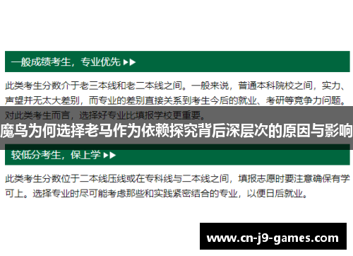 魔鸟为何选择老马作为依赖探究背后深层次的原因与影响